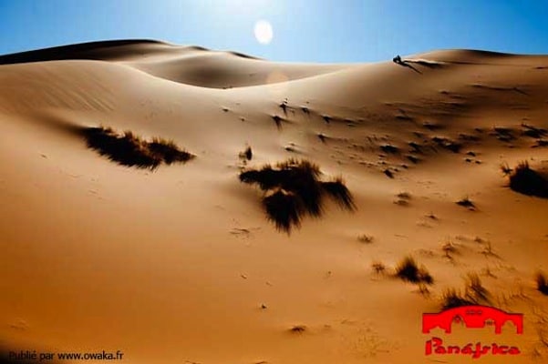 Panafrica 2012