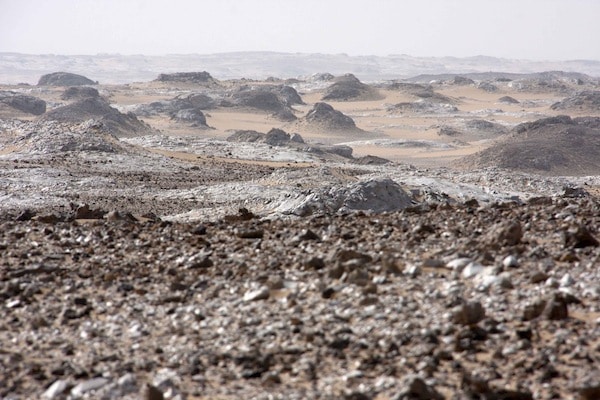 Rallye des pharaons