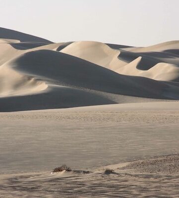 Rallye des pharaons