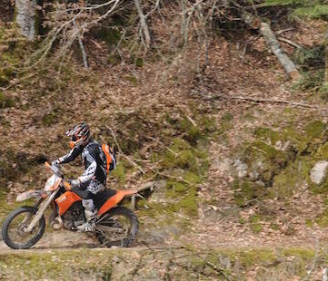 Piste des Lion - Amada