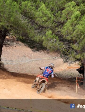 isde 2019