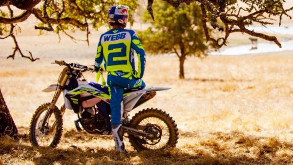 cody webb