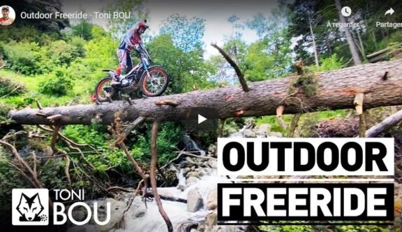 toni bou