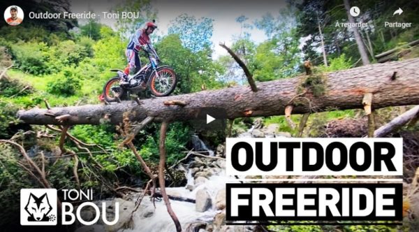 toni bou