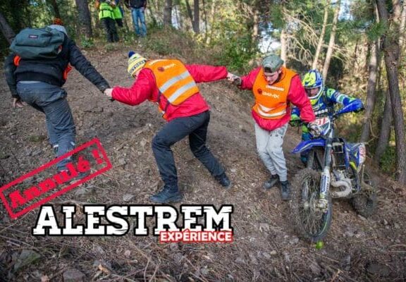 alestrem expérience