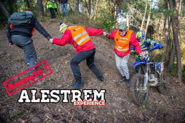 alestrem expérience