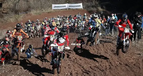 mario roman