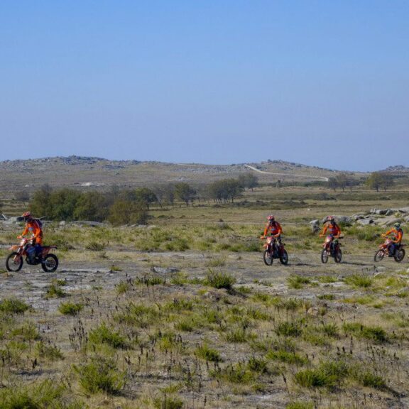 Freeride Spirit