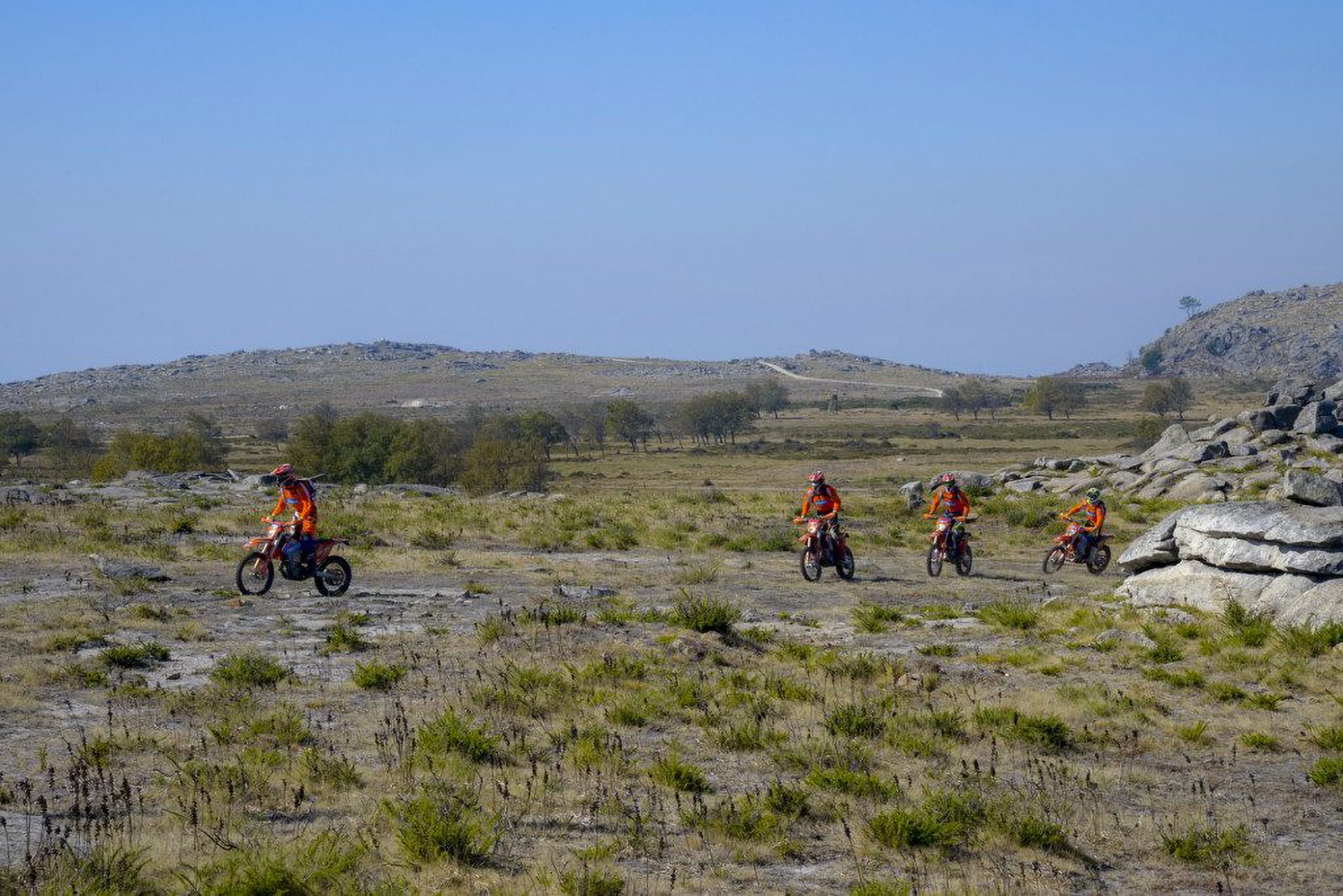 Freeride Spirit