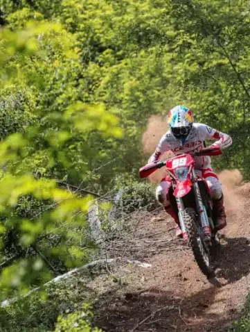 gp de roumanie