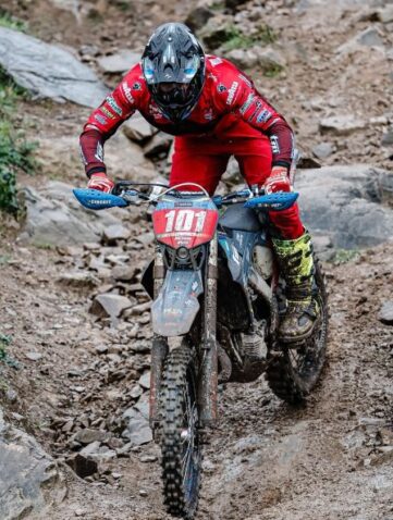 pichon